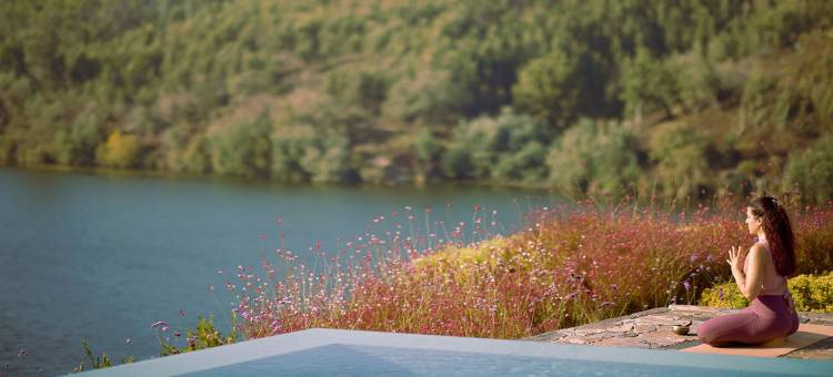 斗罗 41 号酒店及水疗 - 奥克坦斗罗(Octant Douro)图片