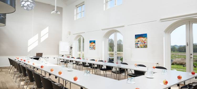 哈拉德斯卡辛那图尔酒店及会议中心(Haraldskær Sinatur Hotel & Konference)图片