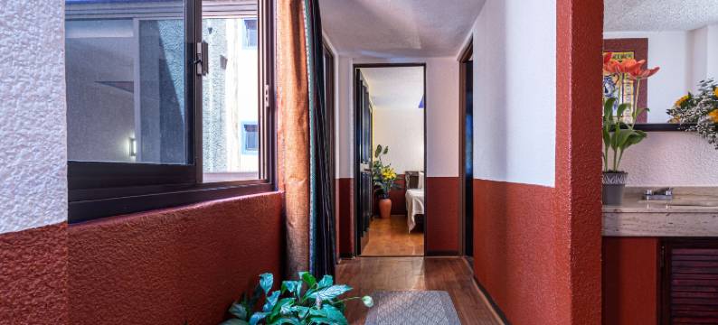 我是当地人CDMX(Hotel Benedicta)图片