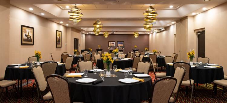 Holiday Inn 阿马里洛西部医疗中心(Holiday Inn Amarillo West Medical Center)图片
