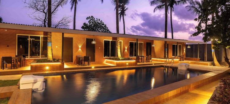 Mauli Stays 可可幸福(Coco Bliss by Mauli Stays)图片