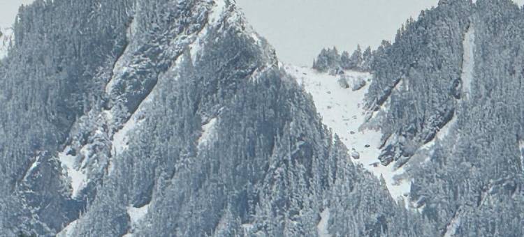 Aikyam 小屋和营地(Aikyam Cottages & Camps - Kasol)图片