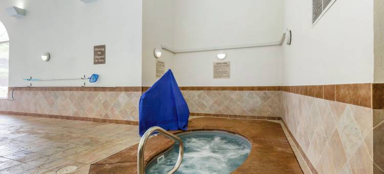 舒适套房酒店(Comfort Inn & Suites)图片