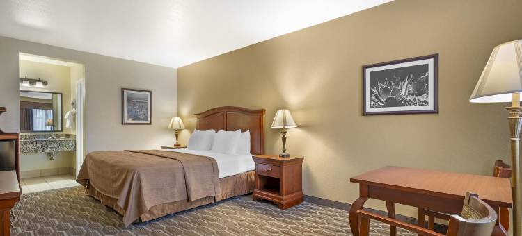 钱德勒贝斯特韦斯特酒店(Best Western Inn of Chandler)图片