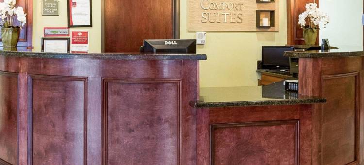 舒适套房酒店-哈维-新奥尔良西(Comfort Suites Harvey - New Orleans West)图片