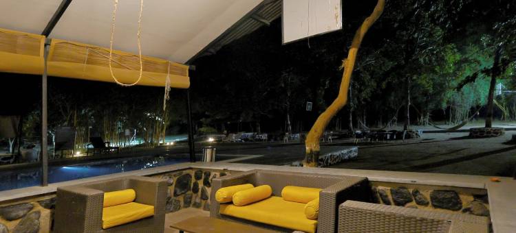 斯普里马蒂丛林度假村(Spree Maati Jungle Resort)图片