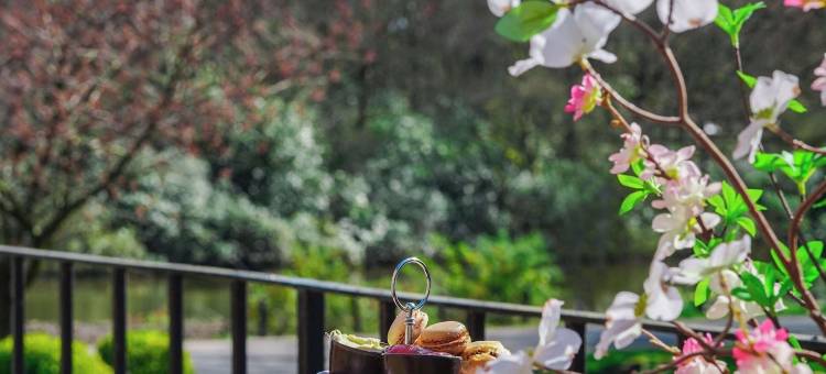 兰开夏郡公园大厅酒店及水疗中心, Radisson Individuals成员(Park Hall Hotel & Spa Lancashire, a member of Radisson Individuals)图片