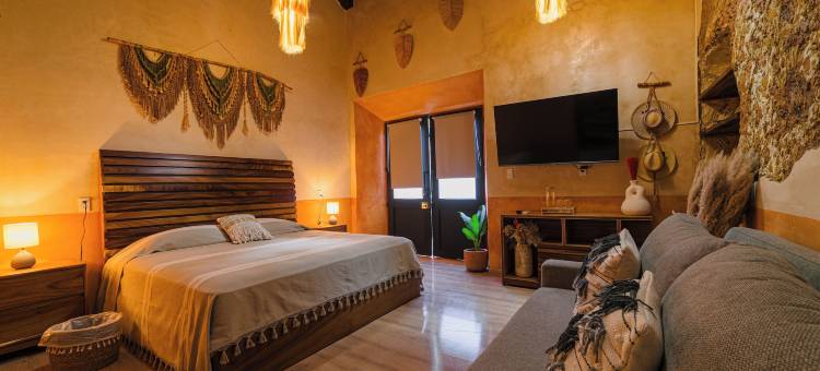 兰兹之家XVII精品酒店(Hotel Boutique Casa Lanz XVII)图片