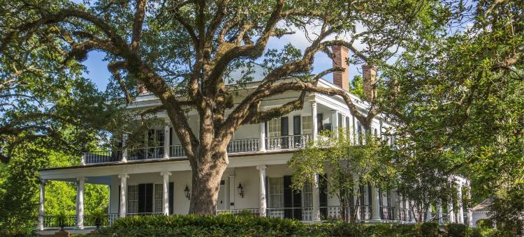 布兰登霍尔种植园酒店(Brandon Hall Plantation)图片