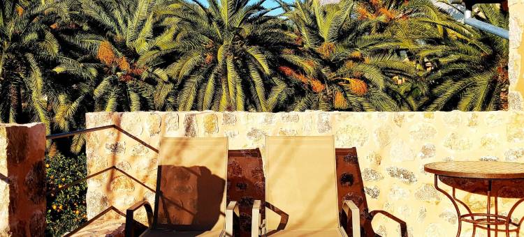 芬卡元老酒店(Finca Ca's Curial - Agroturismo - Adults Only)图片