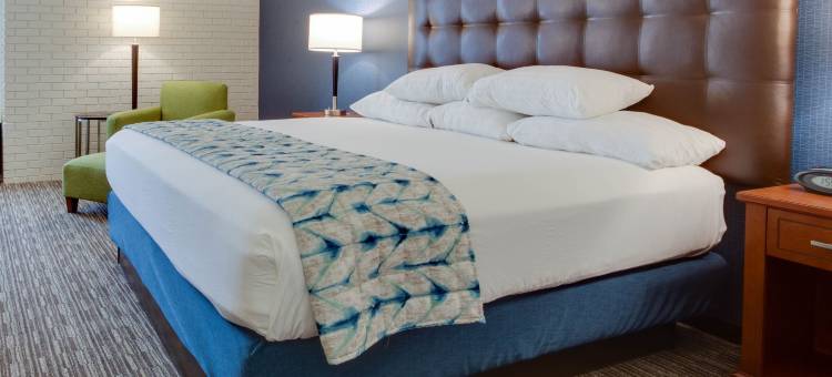 纳什维尔机场德鲁里套房酒店(Drury Inn & Suites Nashville Airport)图片