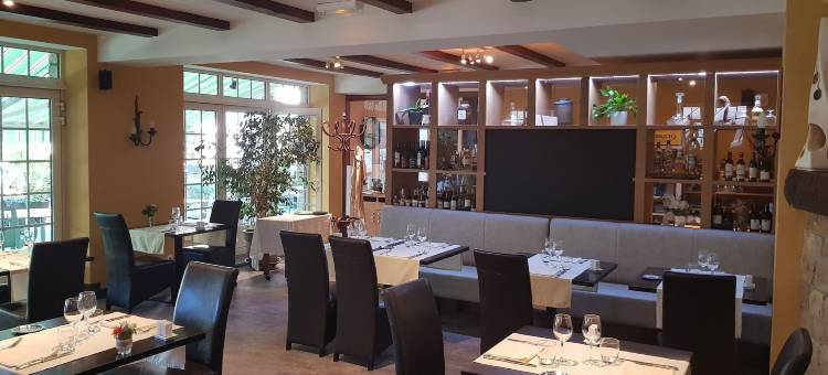 金狮酒店(Hotel le Lion d'Or)图片