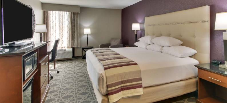 波普勒布拉夫德鲁里套房酒店(Drury Inn & Suites Poplar Bluff)图片