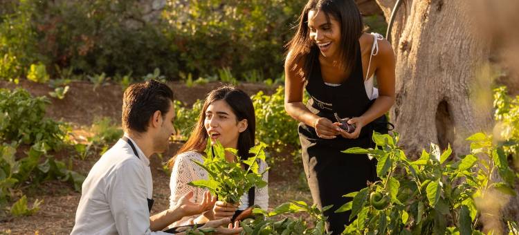 圣保罗大农场(Masseria San Paolo Grande)图片