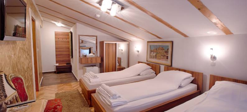 艾瑞克酒店(Hotel Herc Sarajevo)图片