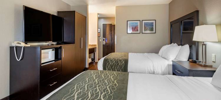 舒适套房酒店(Comfort Inn & Suites)图片