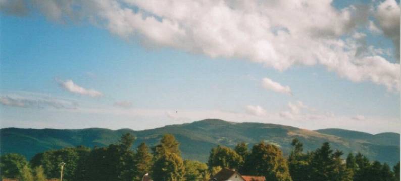 Lovely furnished apartment in a massive Vosges house图片