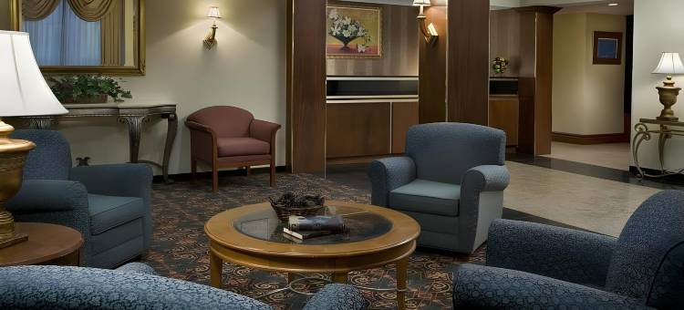 Spark by Hilton 多伦多机场(Spark by Hilton Toronto Airport)图片