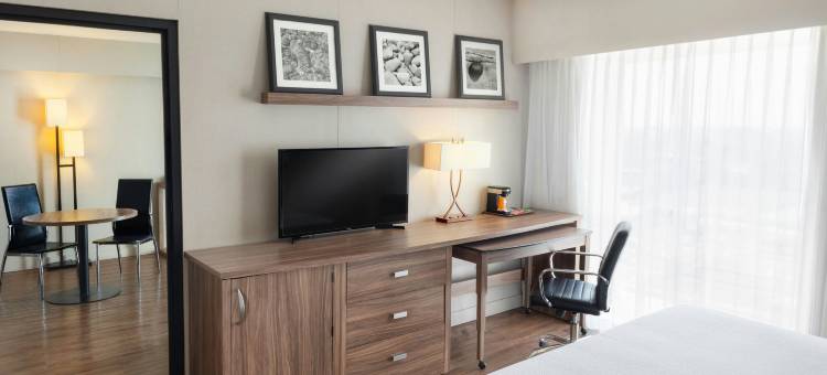 普埃布拉拉斯阿尼马斯万怡酒店(Courtyard Puebla Las Animas)图片