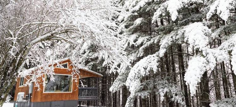 Remote Tiny Cabin & Hiking!图片