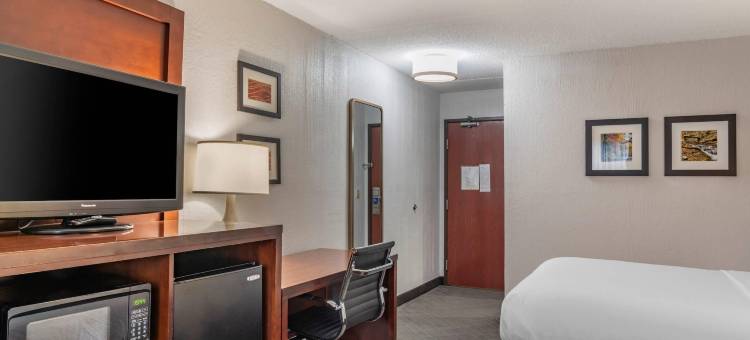 大学舒适酒店(Comfort Inn University)图片