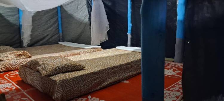 杰米海滩小屋(Jaymy Beach Fales)图片