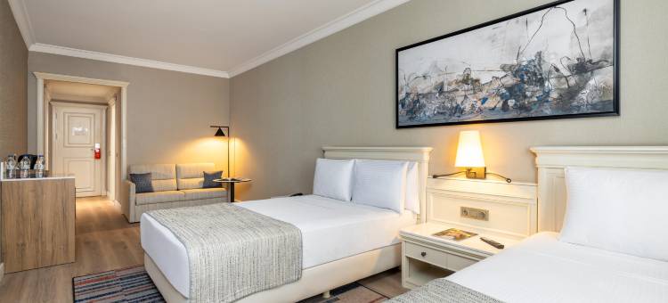 伊斯坦布尔塔克西姆精英世界舒适酒店(Elite World Comfy Istanbul Taksim)图片