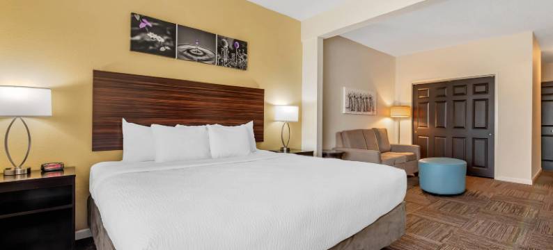 舒眠旅馆及套房威斯康星拉皮兹(Sleep Inn & Suites)图片