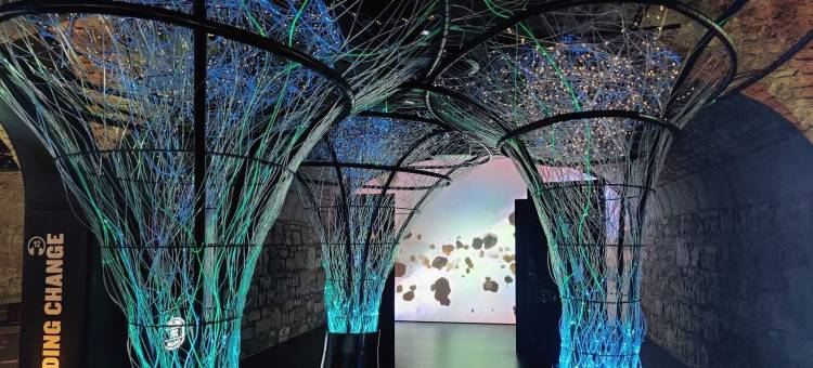 塔拉特马德龙酒店(Maldron Hotel Tallaght)图片