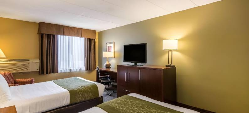 普利茅斯-明尼阿波利斯舒适酒店(Comfort Inn Plymouth-Minneapolis)图片