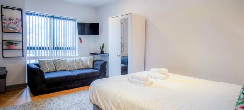 Princess Lofts 5 - 1 Bedroom Suite - Swansea图片