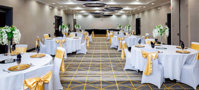 Holiday Inn 斯泰茨伯勒的大学区(Holiday Inn STATESBORO-UNIVERSITY AREA by IHG)图片