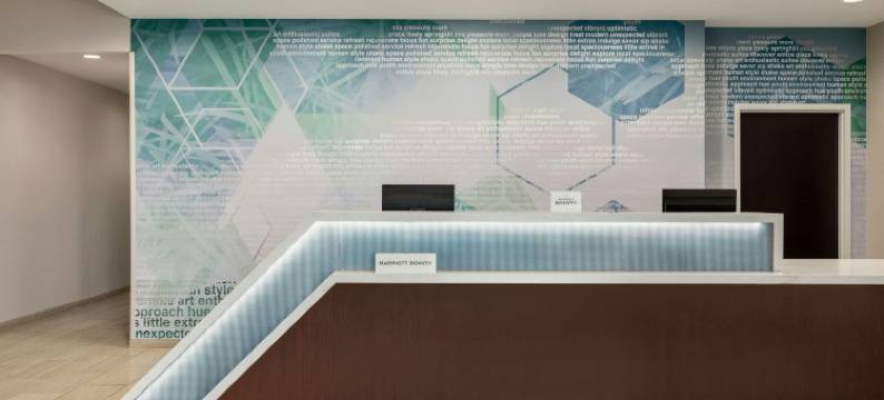 罗阿诺克万豪SpringHill酒店(SpringHill Suites Roanoke)图片