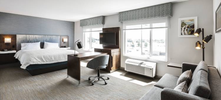 魁北克市博波特希尔顿欢朋酒店(Hampton Inn & Suites by Hilton Quebec City Beauport)图片