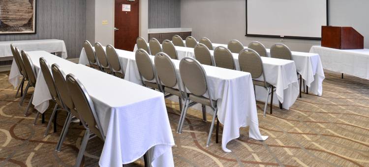 拉法耶特智选假日酒店及套房(Holiday Inn Express & Suites Lafayette)图片