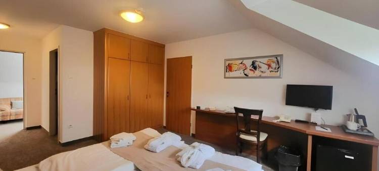 泽尼特巴拉顿酒店(Zenit Wellness Hotel Balaton)图片