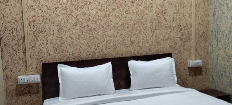 毗湿奴旅馆(Hotel Vishnu Inn)图片