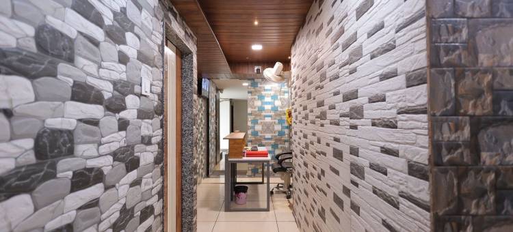 猫酒店(Hotel Cat)图片