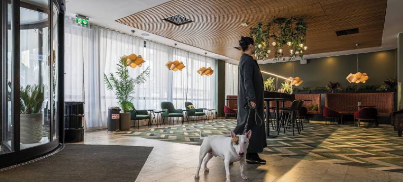 斯特兰德酒店(Comfort Hotel Sundsvall)图片