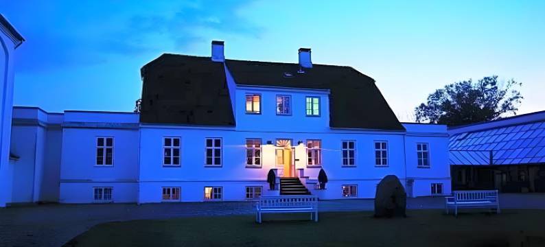 布鲁普加德克伦威尔酒店(Comwell Borupgaard)图片