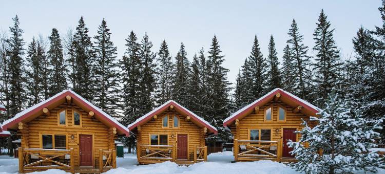 Miette Mountain Cabins图片