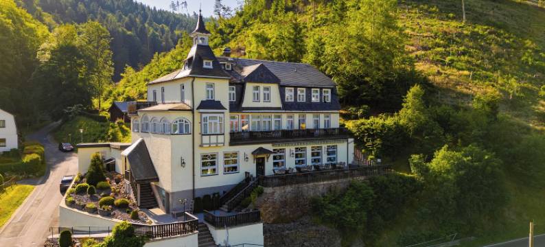 沃尔德弗雷德弗莱尔酒店(Flair-Hotel Waldfrieden)图片