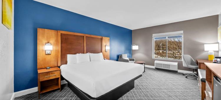 普莱恩维尔-福克斯波罗舒适套房酒店(Comfort Inn & Suites Plainville-Foxboro)图片