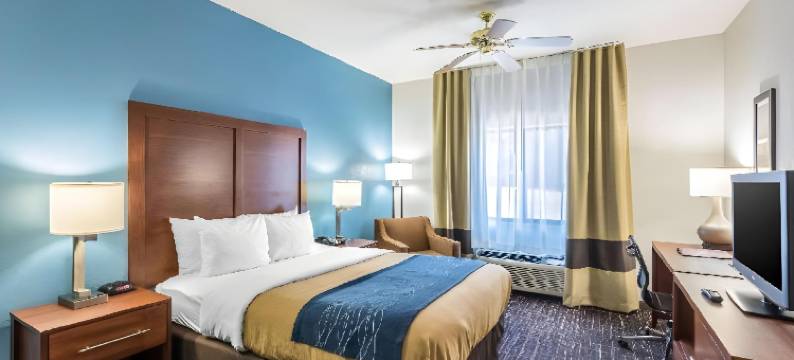 利斯萨米特舒适套房酒店-堪萨斯城(Comfort Inn & Suites Lees Summit - Kansas City)图片