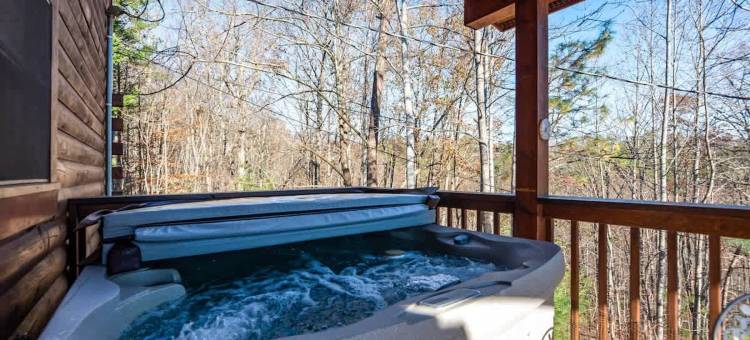 华丽景观小屋热水浴缸隐私壁炉泳池钓鱼通道(Gorgeous View. Hot Tub. Privacy. Fireplace. Pool & Fishing Access!)图片
