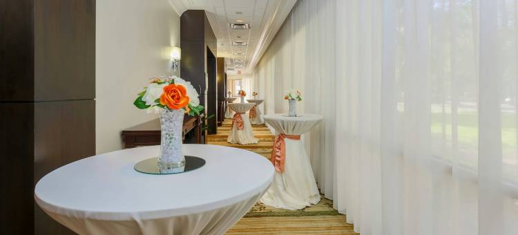 达拉斯市场中心喜来登套房酒店(Sheraton Suites Market Center Dallas)图片