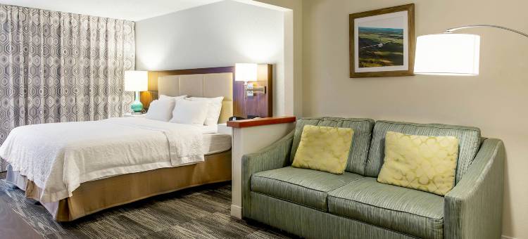 明尼阿波利斯圣保罗伍德伯里欢朋酒店(Hampton Inn Minneapolis-St. Paul/Woodbury)图片