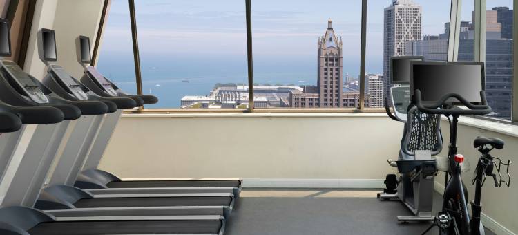 芝加哥中心壮丽大道Homewood Suites by Hilton(Homewood Suites by Hilton Chicago Downtown/Magnificent Mile)图片