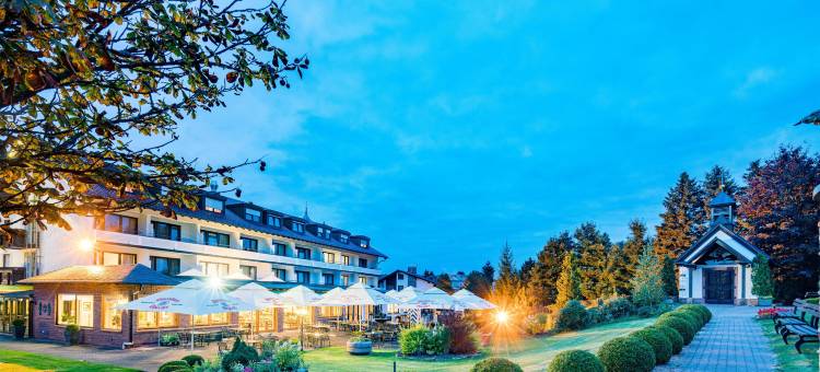 布鲁恩霍夫贝斯特韦斯特酒店(Best Western Hotel Brunnenhof)图片