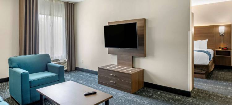 舒适套房酒店(Comfort Inn & Suites Troutville - Roanoke North - Daleville)图片